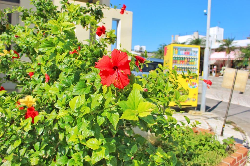 יומיטאן Guest House Route 6 מראה חיצוני תמונה